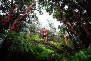 BIB: 
                            <button type="button" onclick="openModal(26203329)" class="btn btn-primary btn-sm float-right btn-popup" data-toggle="modal" data-target=".modal-high-quality">
                        <i class="fas fa-shopping-cart"></i> Add to Cart
                    </button>
                                            <button type="button" onclick="isThisMe(26203329, true)" class="btn btn-success btn-sm float-right btn-popup btn-isme hidden" data-toggle="tooltip" data-placement="bottom" title="นี่คือรูปของคุณใช่ไหม คลิกที่นี่เพื่อเอาเข้าอัลบั้ม">
                        <i class="fas fa-plus"></i> Add to album
                    </button>
                    <button type="button" onclick="isThisMe(26203329, false)" class="btn btn-warning btn-sm float-right btn-popup btn-isnotme hidden">
                        <i class="fas fa-ban"></i> Remove from album
                    </button>